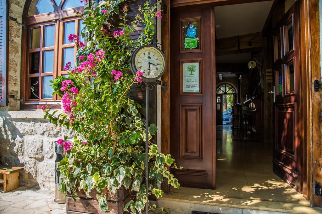 Hotel Carrubba دونيا لاستيفا المظهر الخارجي الصورة
